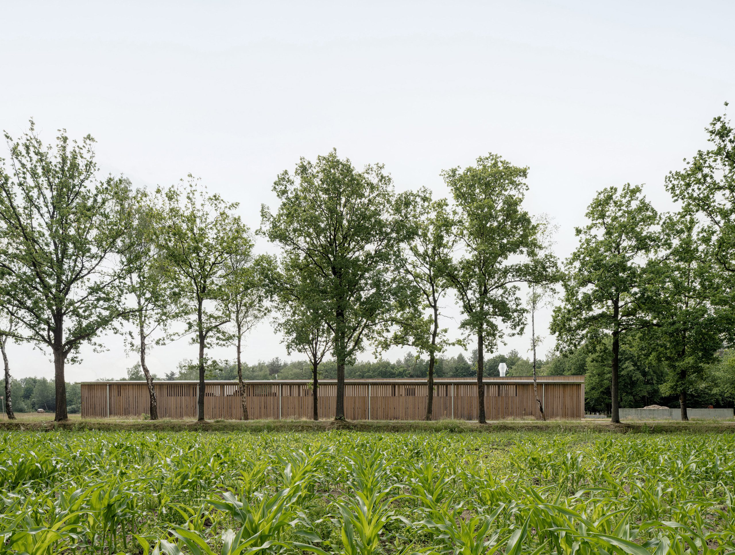 Studio Jan Vermeulen - Visitor center prinsenpark retie belgium timber building public Studio Jan Vermeulen, Architecture & Urbanism