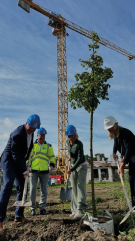 SJV news keerdok first tree Studio Jan Vermeulen, Architecture & Urbanism
